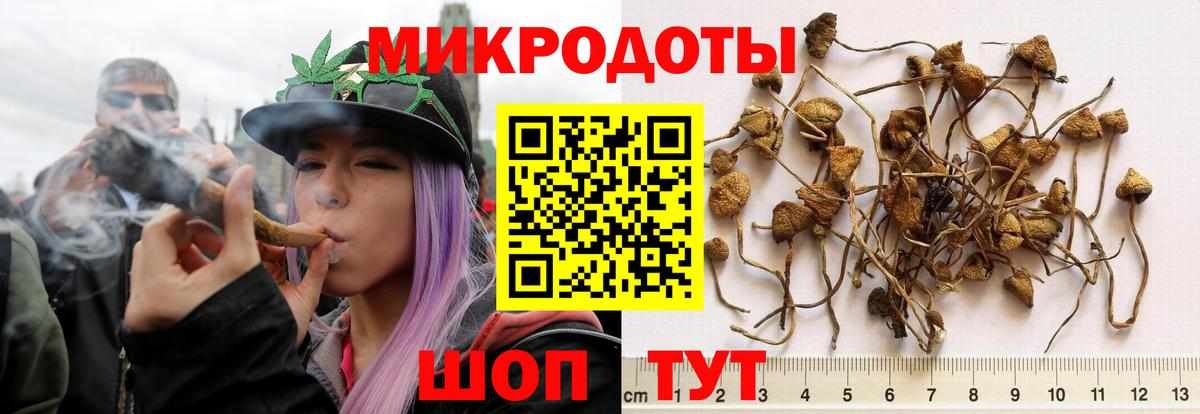 Галлюциногенные грибы Cubensis  Псилоцибиновые грибы ЛСД  Вход с VPN  наркотики  Мыски 